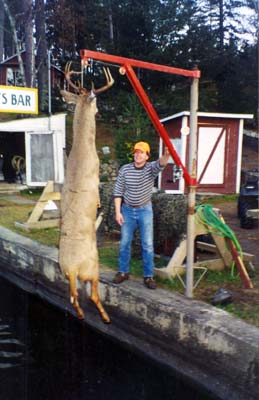 Whitetail Deer Lake of the woods Ontario Lecuyer Lodge