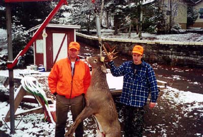 Whitetail Deer Lake of the woods Ontario Lecuyer Lodge